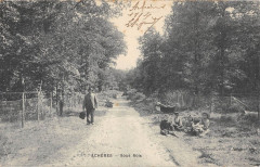 Acheres Sous Bois -
													78 Yvelines
												