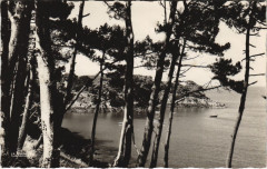 Cancale Promenade vers la Pointe du Grouin à Cancale