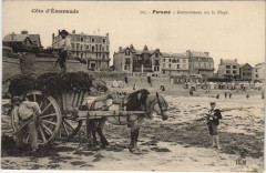 Parame Goemonneux sur la Plage