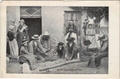 Rentree des Pommes de Terre