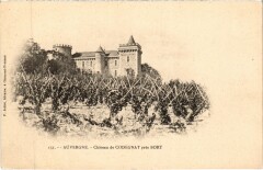 Chateau de Codegnat pres Bort