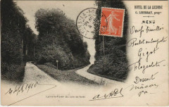 Lyons-la-Foret Un Coin de Foret