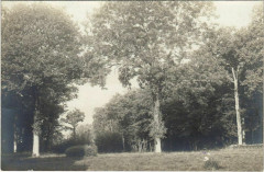Vernon Foret à Vernon