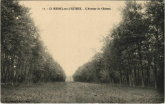 Le Mesnil-sur-l'Estree L'Avenue du Chateau