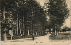 Eure - En Foret