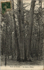 Lyons-la-Foret Foret de Lyons - Les Quatre Chenes