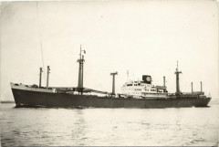 M.S.Wonogiri Ships