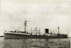 M.S.Japara Ships