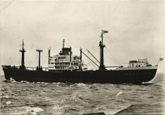 M.S.Banka Ships
