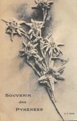 Souvenir Des Pyrenees -
													65 Hautes Pyrénées
												