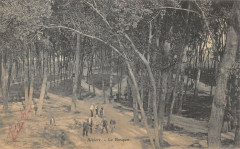Beziers Le Bosquet -
													34 Hérault
												