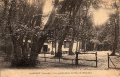 Gazinet - Parc Monsalut 3