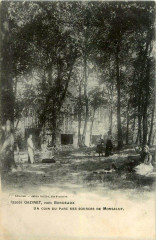Gazinet - Parc des sources de Monsalut 1