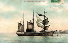 Bordeaux - Morutier