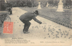 Paris Le Charmeur D'Oiseaux Aux Tuileries
