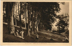 Saint-Cast Bois de Vieuxville France