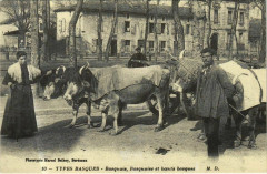 Types Basquais - Basquaise et Boeufs Basques - Reprint -
													64 Pyrénées Atlantiques
												