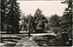 Parc Scene