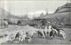 Landscape with Lambs