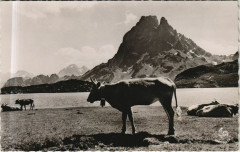 Le Lac d'Ayous et le Pic du Midi d'Ossau