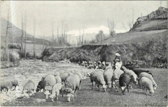 Landscape with Lambs