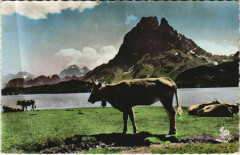 Les Pyrenees - Lac d'Ayous