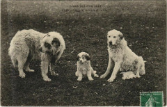 Types des Pyrenees - La Pere la Mere et le Fils