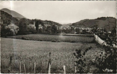 Tardets Vue Generale