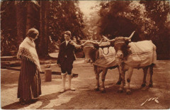 Le Terroir Pyreneen - Types et Costumes - La Vie des Champs