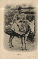 Paysanne - Type