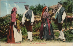 Types Pyrenees - Groupe Ossalois