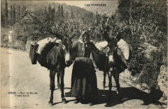 Les Pyrenees - Sur la Route - Trois Amis