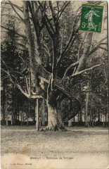 Bernay Robinson de Saint-Leger à Bernay