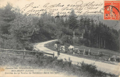 Belmont Entree De La Route De Belmont Dans Les Bois -
													42 Loire
												