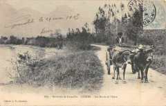 Gieres Les Bords De L'Isere Attelage