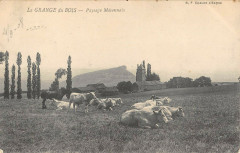 La Grange Du Bois Paysage Maconnais