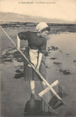 Ile De Re La Peche A La Crevette