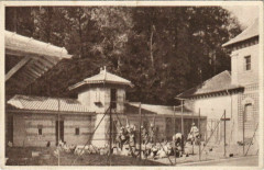 Pressoirs-du-Roy Ecole d'Horticulture Soins a la Basse-cour -
													77 Seine et Marne
												