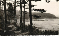 Etables-sur-Mer La Plage depuis les Pins