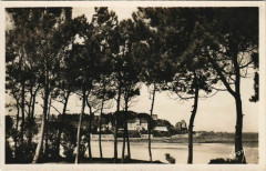 Perros-Guirec Sapiniere en Bordure de la Plage de Trestraou à Perros-Guirec