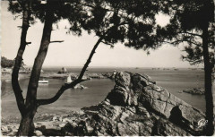 Ile De Brehat La Cote Sauvage