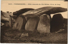 Trebeurden Allee Couverte de l'Ile Miliau