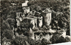 Tonquedec Ruines du Chateau