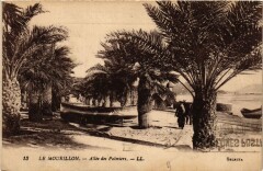 Toulon Le Mourillon-Allée des Palmiers à Toulon