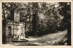 Nerac Une allee du parc de la Garenne France