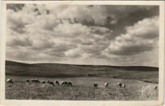 Gorges du Tarn La Causse Mejean France -
													48 Lozère
												
