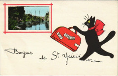 Landscape - Cat with a Bag -
													16 Charente
												