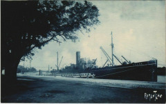 Tonnay-Charente Quais de Tonnay