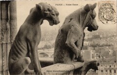 Paris (1e) - N.D., Betes d'amortissement á la Balustrade des tours -
																					75001 Paris 1er
																			