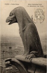 Paris (1e) - N.D., Betes d'amortissement á la Balustrade des tours -
																					75001 Paris 1er
																			